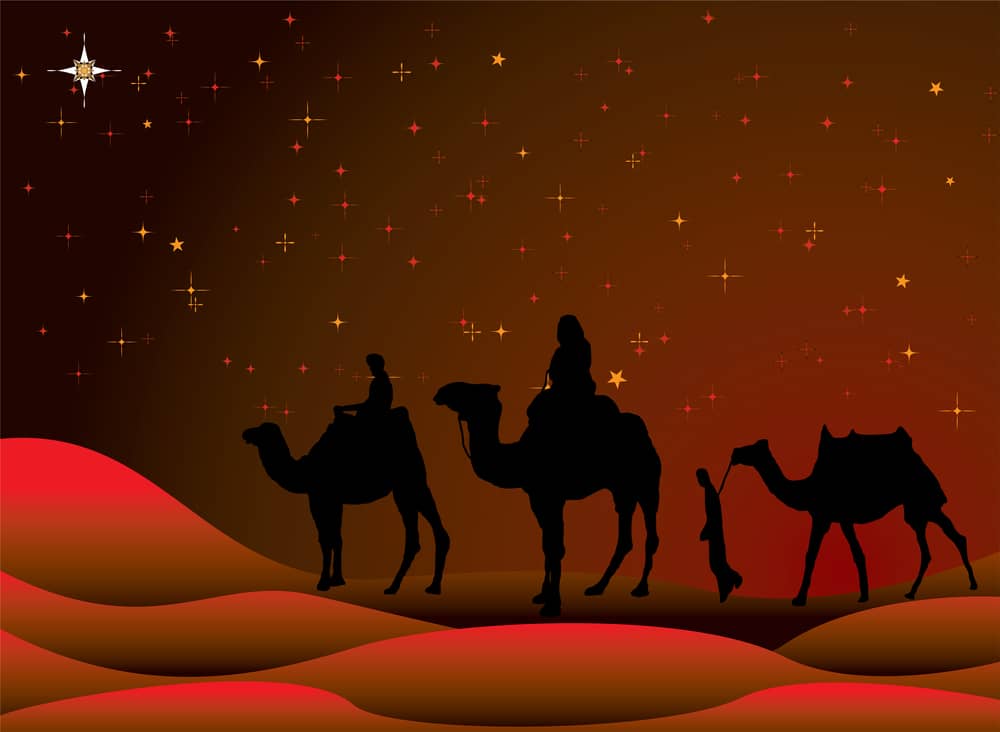 Magi