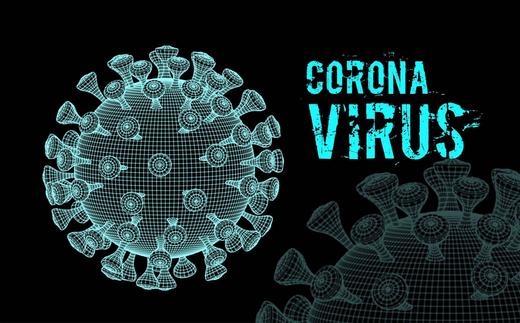 COVID-19 Pandemic