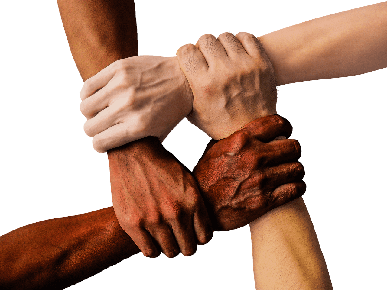 Diversity
