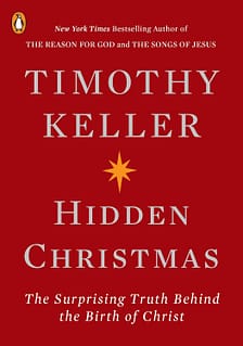 Hidden Christmas | Explore Big Ideas Hidden Christmas