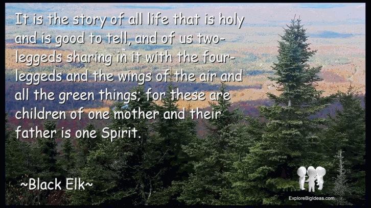 Black Elk Small Unity of Life